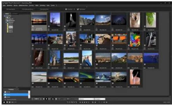 CANON Digital Photo Professional 4.2 Windows - Überprüfen Sie die angezeigten Bilder. - 1