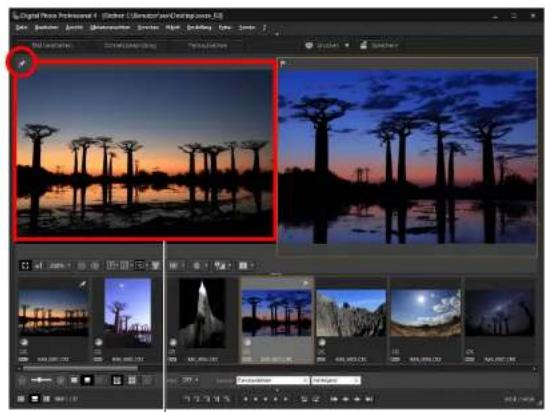 CANON Digital Photo Professional 4.2 Windows - Vergleichen mit einem angehefteten Bild - 2