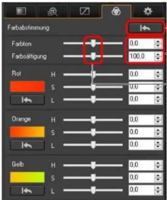 Farbinstimmung Farblon 0.0 Farbstätigung 100.0 Rot H 0.0 S 0.0 L 0.0 Orange H 0.0 S 0.0 L 0.0 Gelb H 0.0 S 0.0 L 0.0