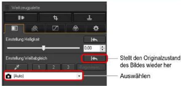 Workzeugpalette Einstellung Helligkeit 0,00 Einstellung Weißabgleich (Auto) Stellt den Originalzustand des Bildes wieder her Auswählen