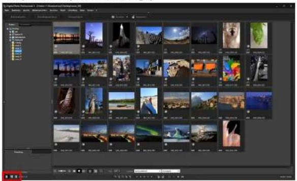 CANON Digital Photo Professional 4.2 Windows - Anzeigen des Hauptfensters (Multi-Layout) - 1