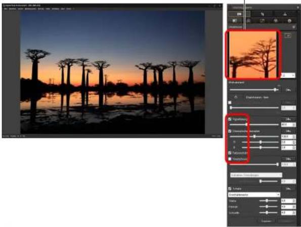 CANON Digital Photo Professional 4.2 Windows - Ausführen von Korrekturen - 1