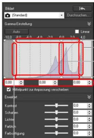Bildart (Standard) Durchsuchen... Gamma-Einstellung Auto Linear -10.0 8.0 5.0 4.0 3.0 2.0 1.0 0.0 0.0 0.0 0,00 0,00 0,00 ✓ Nifelpunkt zur Anpassung verschieben Erweicht Kontext Schaten Lichter Farblot Farbsichtigung 0,0 0,0 0,0 0,0 0,0