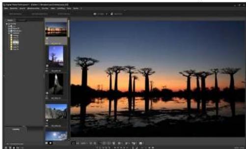 CANON Digital Photo Professional 4.2 Windows - Anzeigen des Hauptfensters (Multi-Layout) - 4