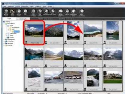CANON Digital Photo Professional 3.14 Windows - Freies Anordnen - 1