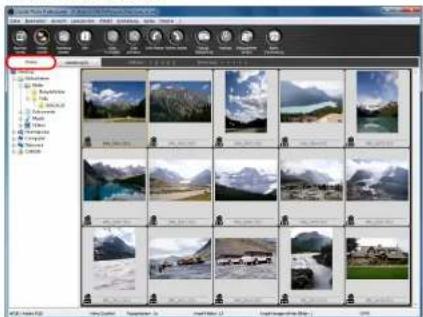 CANON Digital Photo Professional 3.14 Windows - Anzeige im Hauptfenster - 1