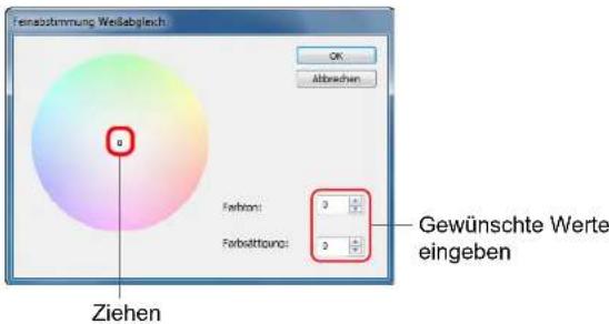 Ferbstimmung Weißabgleich OK Abbrachen Ziehen Ferbion: 0 Farbsttions: 0 Gewünschte Werte eingeben