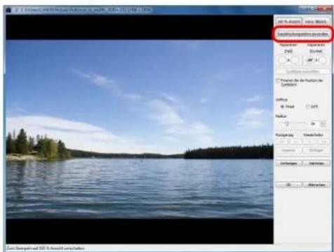 CANON Digital Photo Professional 3.14 Windows - Automatische Staubentfernung - 2