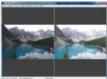 CANON Digital Photo Professional 3.14 Windows - Im Bearbeitungsfenster wählen Sie Menü [Ansicht] ▶ [Vergleich vorher/nachher]. - 1