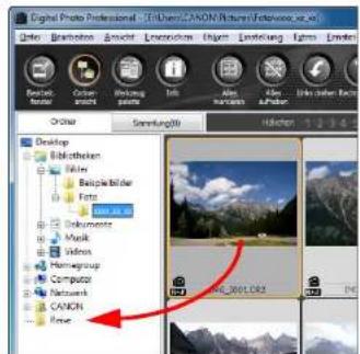 Digital Photo Professional - 3D User: CANON Picture Software File Edit View Insert Tools Remove Recent Version Close Help Order Smartphone(M) Desktop Bibliotheken Miles Beispikbilder Facts Data.io Documents Music Video Homegroup Computer Networks CANON Rose Hidleri 1-2-3-6 00_0011.06.2
