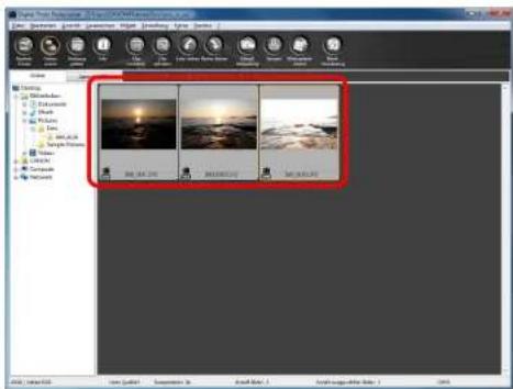 CANON Digital Photo Professional 3.14 Windows - Wählen Sie im Hauptfenster ein Bild aus. - 1
