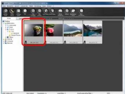 CANON Digital Photo Professional 3.14 Windows - Compositing von Bildern - 3