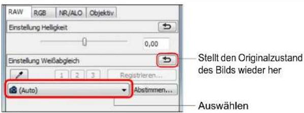 RAW RGB NR/ALO Objektiv Einstellung Helligkeit 0,00 Einstellung Weißabgleich 1 2 3 Registrieren... (Auto) Abstimmen... Stellt den Originalzustand des Bilds wieder her Auswählen