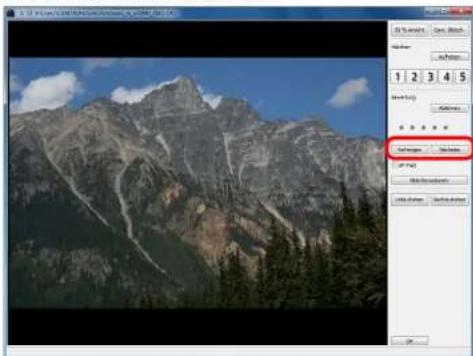 CANON Digital Photo Professional 3.14 Windows - Um zwischen den Bildern, die überprüft werden sollen, zu wechseln, klicken Sie auf die Schaltfläche [Nächstes] oder [Vorheriges]. - 1