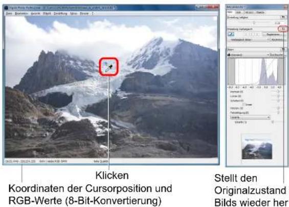 Digital Photo Software - 3.1.2015 (8-Bit-Konvertierung) Data: Stellen, Graph, Plant, Dendling, Mono-Stream 2 Klicken Koordinaten der Cursorposition und RGB-Werte (8-Bit-Konvertierung) Stellt den Originalzustand Bilds wieder her