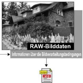 RAW-Bilddaten Informationen über die Bildverarbeitungsbedingungen VTC