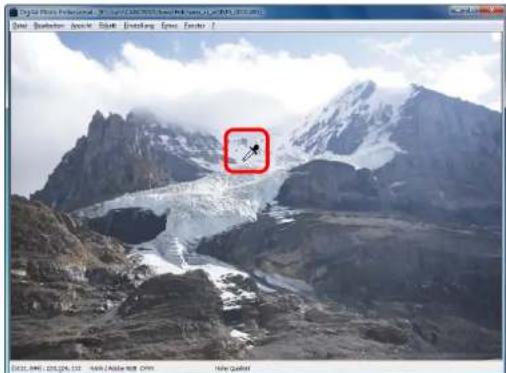 CANON Digital Photo Professional 3.14 Windows - Einstellen des Farbtons mit der Funktion Weißabgleich klicken - 2