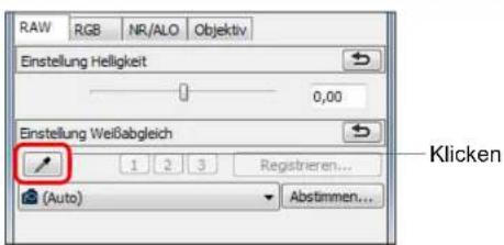 RAW RGB NR/ALO Objektiv Einstellung Helligkeit 0,00 Einstellung Weißabgleich 1 2 3 Registrieren... (Auto) Abstimmen... Klicken