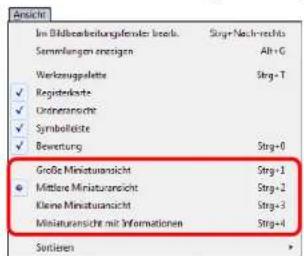 Ansicht Im Bildberleitungskosten kredu. Strg+Nett-rechts Sammlangen enerzigen Alt+G Werkzeugpälete Strg+T ✓ Registeredkete | ✓ Onderanschte | ✓ Symbolisierte | ✓ Bewertung Strg=0 Große Ministrationsicht Strg-1 ● Mittlare Ministrationsicht Strg=2 Kleine Ministrationsicht Strg=3 Miniaturansicht mit Informationen Strg=4 Sortieren
