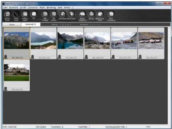 CANON Digital Photo Professional 3.14 Windows - Überprüfen Sie die angezeigten Bilder im Fenster [Sammlung]. - 1