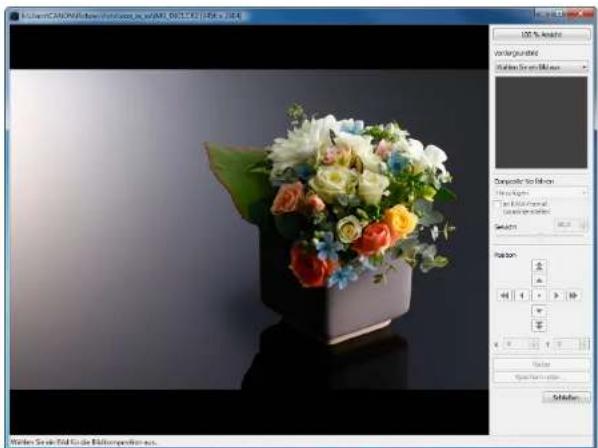 CANON Digital Photo Professional 3.14 Windows - Compositing von Bildern - 7