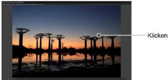 CANON Digital Photo Professional 4.4 Windows - Vergrößern und Anzeigen eines bestimmten Bereichs - 1