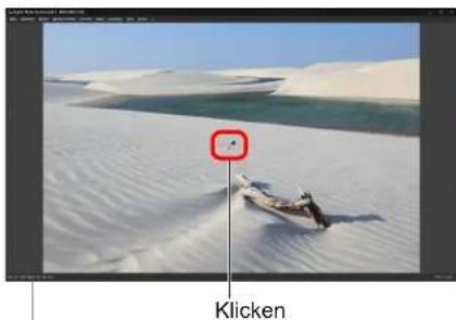 CANON Digital Photo Professional 4.4 Windows - 2 - 1