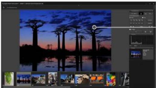 CANON Digital Photo Professional 4.4 Windows - Klicken Sie auf den Bereich, den Sie vergrößern möchten. - 1