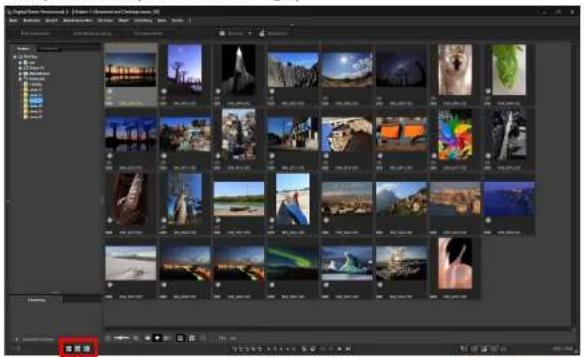 CANON Digital Photo Professional 4.4 Windows - Anzeigen des Hauptfensters (Multi-Layout) - 1