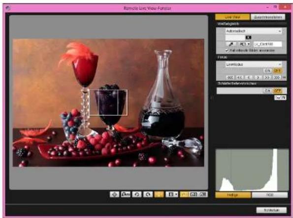 CANON Digital Photo Professional 4.4 Windows - Definieren Sie die erforderlichen Einstellungen. - 1