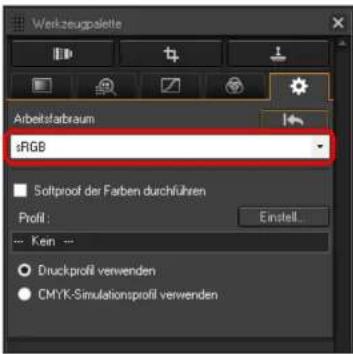 Wertzeugpalette Arbeitsfarbraum sRGB Softproof der Farben durchführen Einstell... --- Kein --- Druckprofil verwenden CMYK-Simulationsprofil verwenden