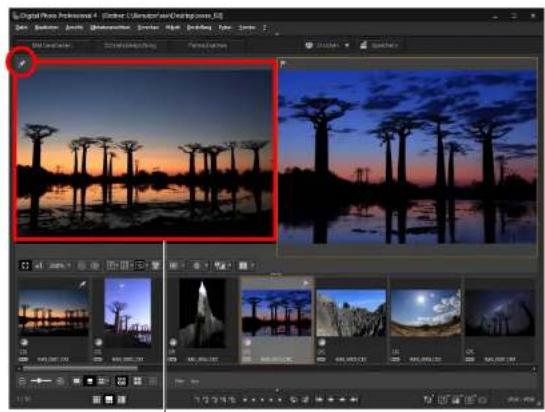 CANON Digital Photo Professional 4.4 Windows - Vergleichen mit einem angehefteten Bild - 2