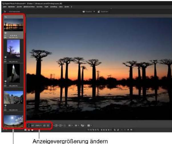 Digital Photo Professionals - [Color: 100%] (Artistic/Artistic/Background) [R] File Edit View Insert Modify View Help Edit View Insert Tools Help Anzeigevergrößerung ändern