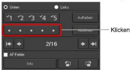 Unten Links √1 √2 √3 √4 √5 Aufheben Ableihren Klicken 2/16 AF Felder Info