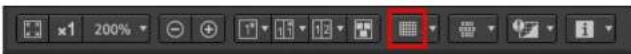 CANON Digital Photo Professional 4.4 Windows - Anzeigen von Rasterlinien - 1