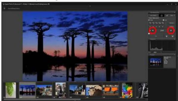 CANON Digital Photo Professional 4.4 Windows - Effizientes Überprüfen und Sortieren von Bildern - 2
