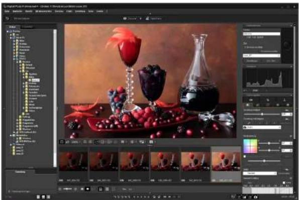 CANON Digital Photo Professional 4.4 Windows - Machen Sie die Aufnahme. - 2