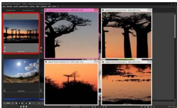 CANON Digital Photo Professional 4.4 Windows - Überprüfen eines Bildes in den zweiten Fenstern - 1