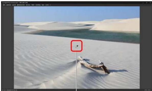 CANON Digital Photo Professional 4.4 Windows - Einstellen des Farbtons mit der Funktion „Weißabgleich klicken“ - 4
