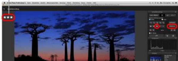 CANON Digital Photo Professional 4.4 Mac - Festlegen von Bewertungen - 2