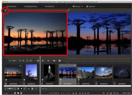 CANON Digital Photo Professional 4.4 Mac - Vergleichen mit einem angehefteten Bild - 3