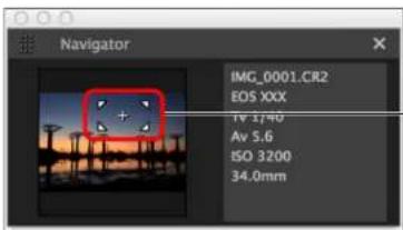 Navigator IMG_0001.CR2 EOS XXX TV 3.140 Av 5.6 ISO 3200 34.0mm