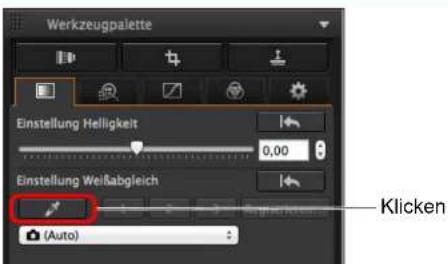 Werkzeugpalette Einstellung Helligkeit 0,00 Einstellung Weißabgleich (Auto) Klicken