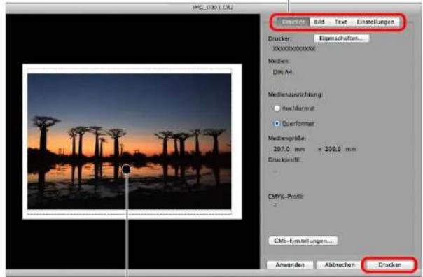 DICOM Bild Text Erstellungen Drucker: Eigenschaften... XXXXXXXXXXXXX Mediterrin: DIN A4 Medienausrichtung: Hochformat Querformat Mediengröße: 207.0 mm x 206.9 mm Druckprofil: CMYK-Profit: CMS-Erstellungen... Anwerten Abrechen Drucken
