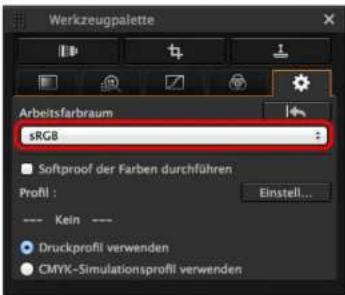 Werkzeugpalette Arbeitsfarbraum sRGB Softproof der Farben durchführen Profil : Einstell... ---- Kein ---- ● Druckprofil verwenden ● CMYK-Simulationsprofil verwenden