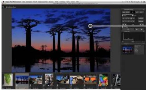 CANON Digital Photo Professional 4.4 Mac - Klicken Sie auf den Bereich, den Sie vergrößern möchten. - 1