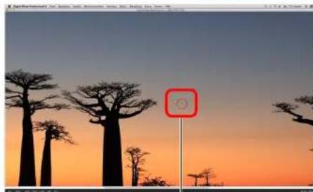 CANON Digital Photo Professional 4.4 Mac - Positionieren Sie den zu löschenden Staubfleck innerhalb der Markierung [O], und klicken Sie darauf. - 1