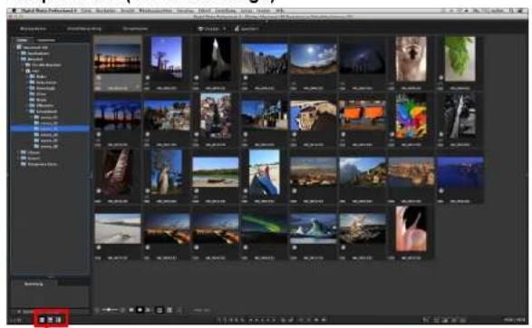 CANON Digital Photo Professional 4.4 Mac - Anzeigen des Hauptfensters (Multi-Layout) - 1