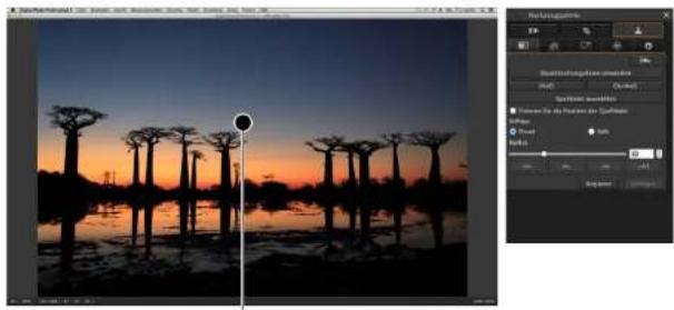CANON Digital Photo Professional 4.4 Mac - Manuelles Entfernen von Staub (Reparaturfunktion) - 1