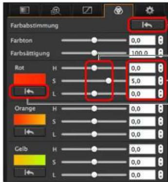 Farbabstimmung Farbton 0,0 100,0 Farbsättigung Rot H 0,0 5,0 S L 0,0 Orange H 0,0 S L 0,0 Celb H 0,0 S L 0,0